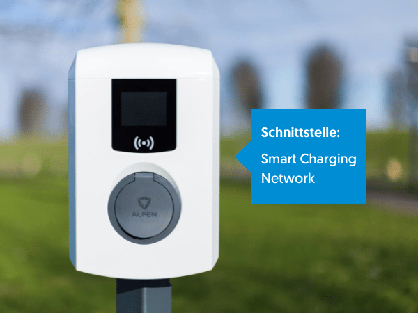Alfen Smart Charging Network - SCN (Software Option je Ladepunkt)